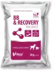 BB & Recovery Balance por