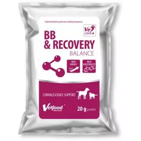 BB & Recovery Balance por
