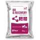 BB & Recovery Balance por