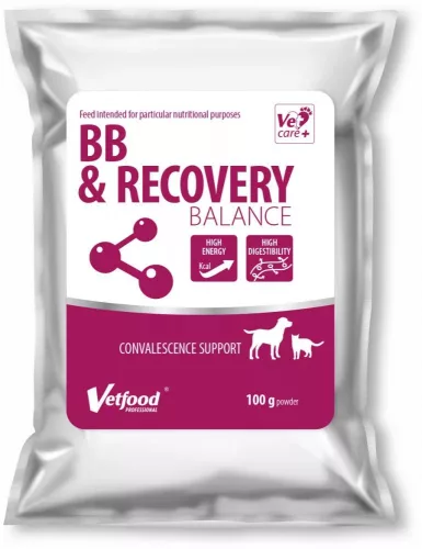 BB & Recovery Balance por