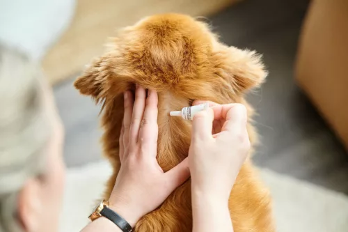 Beaphar Fiprotec Spot On rácsepegtető oldat