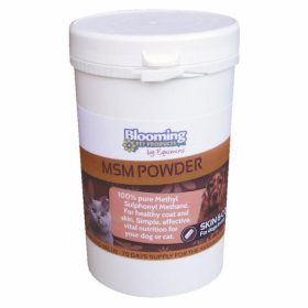 BPH462 BP MSM Powder 350 g