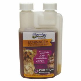 BPH463 BP Echinacea Liquid Herbal Extract 250 ml