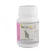 BiogenicPet Vitality Cat