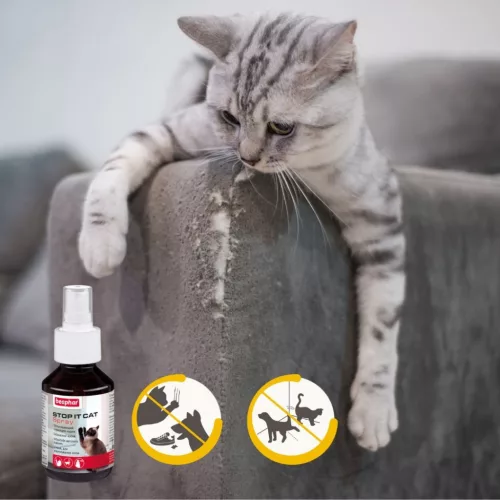 Beaphar STOP-IT nevelő Spray macska 100 ml