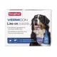 BVKL3 Beaphar vermicon spot-on l 30-45 kg 3 pipetta