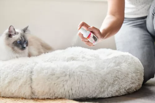 Beaphar CatComfort Spray 30 ml