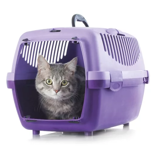 Beaphar CatComfort Spray 30 ml