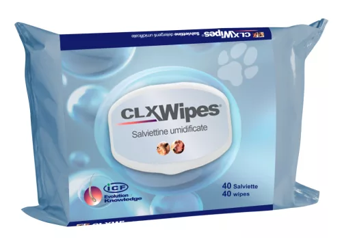 CW15 Clx wipes pocket nedves törlõkendõ 20 db