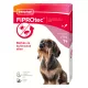 Beaphar Fiprotec Spot On rácsepegtető 2-10 kg 1 db