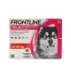 FTTXL3 Frontline tri-act spot on xl 40-60 kg 3 pipetta