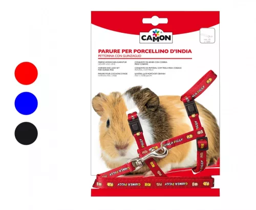 Camon Hám-póráz szett tengerimalacoknak 10*1200 mm