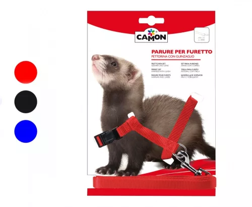 Camon Hám-póráz szett vadászgörénynek 15*1800 mm
