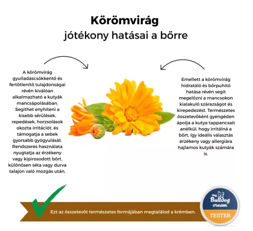 My Bulldog Cream - Teszter - Finomítatlan kakaóvaj körömvirággal és kamillával