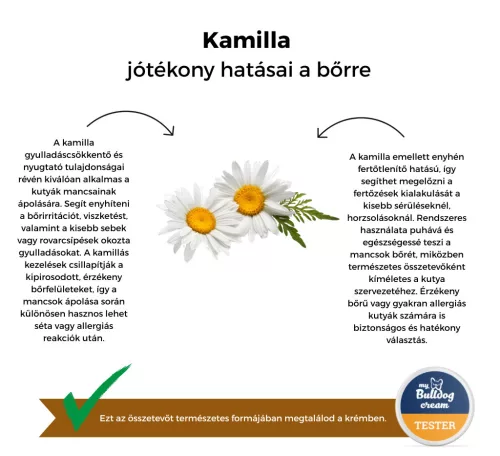 My Bulldog Cream - Teszter - Finomítatlan kakaóvaj körömvirággal és kamillával