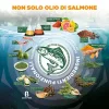 Salmoil Salmoil -1  950ml