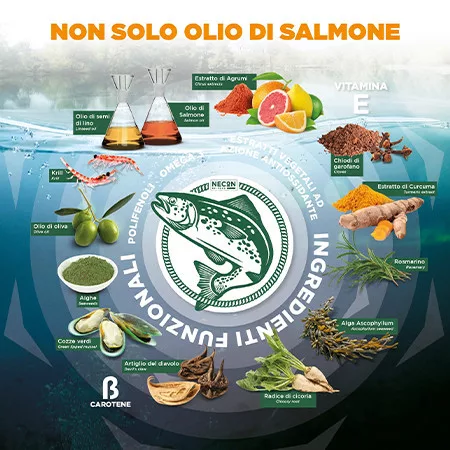 Salmoil Salmoil -4  950ml