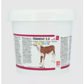 Ferment 2.0 