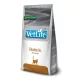 PVT020481S VET LIFE CAT DIABETIC 2KG