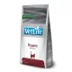 PVT020603S VET LIFE CAT HEPATIC 2 KG