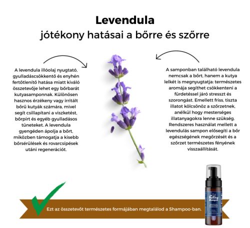 My Bulldog Shampoo - gyógynövényes kutyasamponok - Levendula