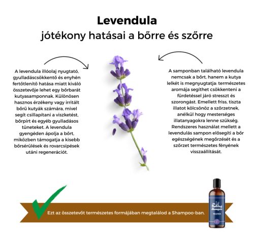 My Bulldog Shampoo - Teszter - Levendula