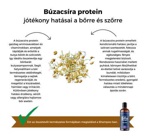 My Bulldog Shampoo - Teszter - Levendula