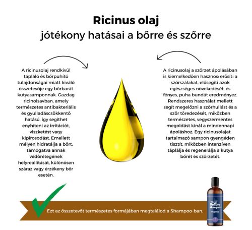 My Bulldog Shampoo - Teszter - Levendula