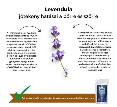My Bulldog Shampoo - levendula - UTÁNTÖLTŐ