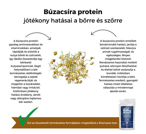 My Bulldog Shampoo - levendula - UTÁNTÖLTŐ