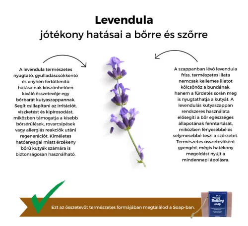 My Bulldog Soap - gyógynövényes kutyaszappanok - Levendula