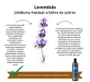 My Bulldog Tonic - gyógynövényes redő-, fül- és szemkörnyék ápoló tonik