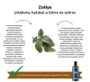 My Bulldog Tonic - Teszter