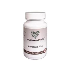 VCM1 Armillaria Plus kapszula 60 db