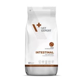 Vetexpert Intestinal Dog