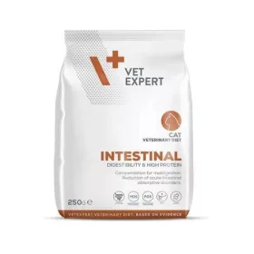 VIC Vetexpert Intestinal Cat