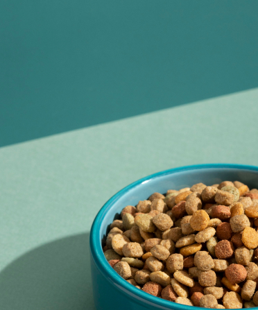 Petstart állateledelek