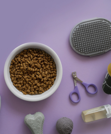 Petstart megoldások